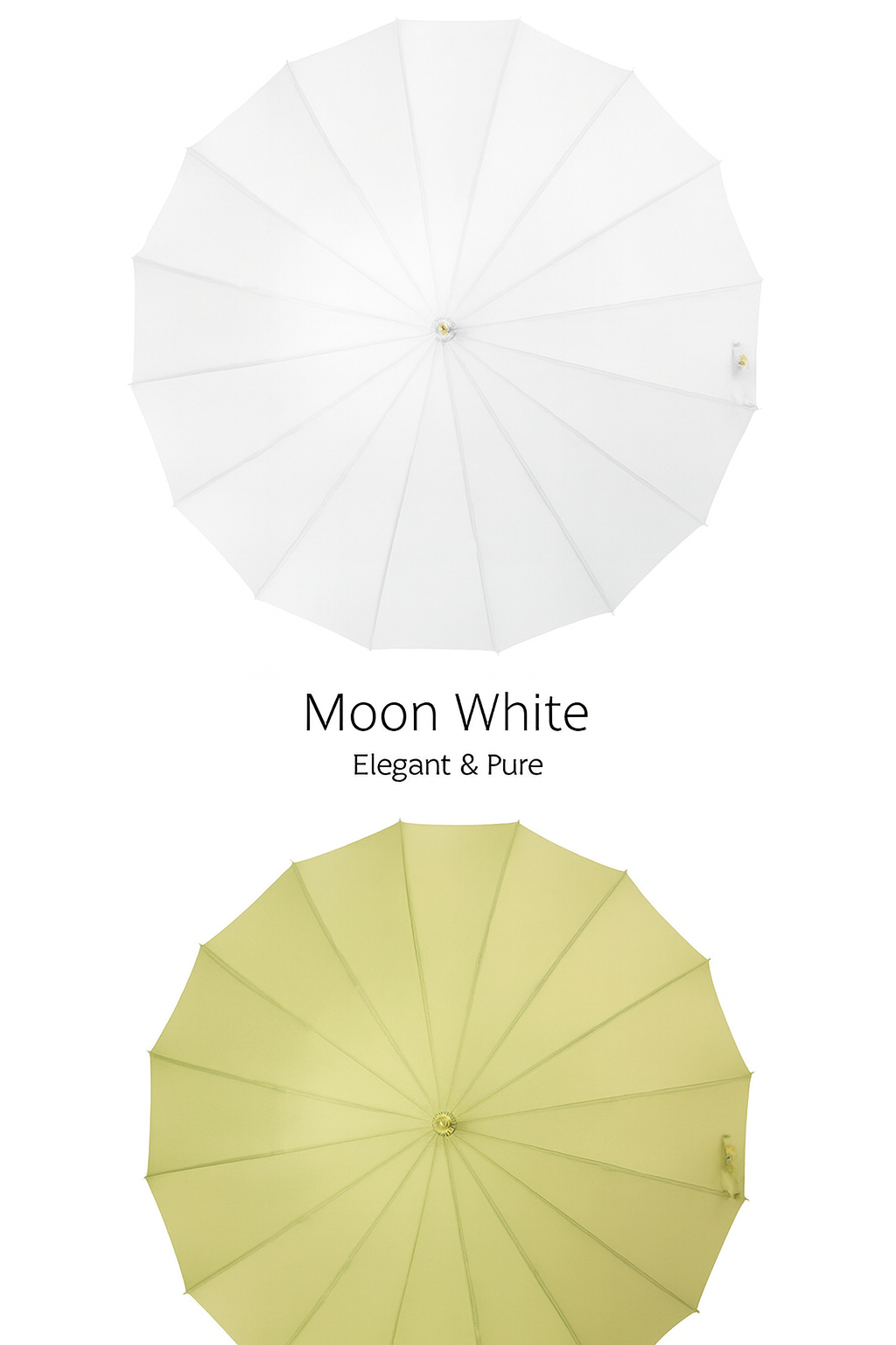 🌂 Premium 16-Rib Umbrella Collection