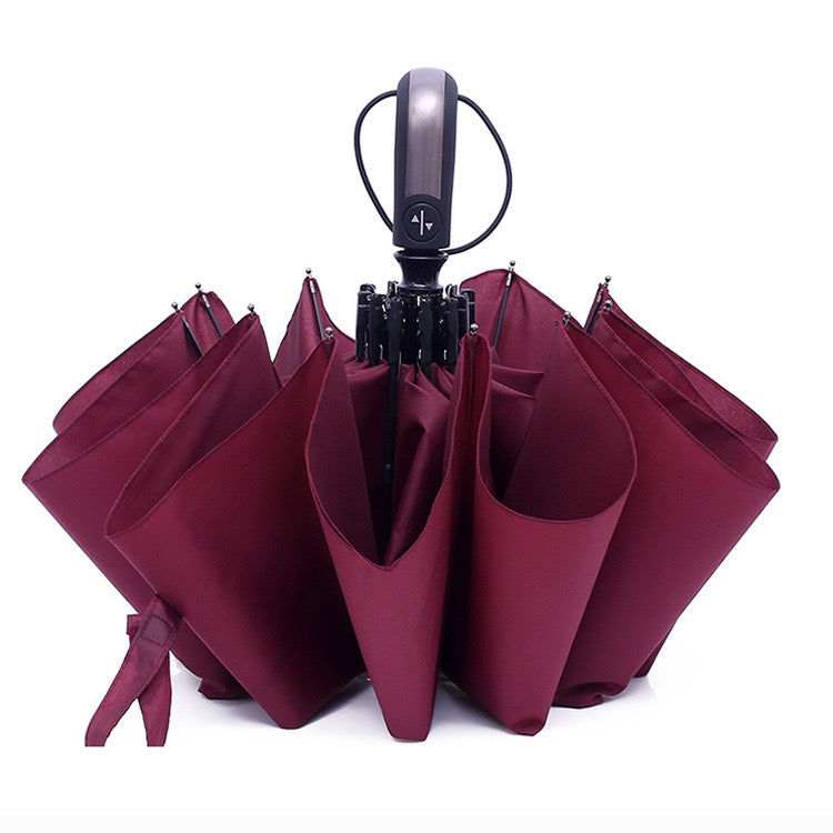 Automatic Folding Windproof Umbrella — Premium 10-Rib Design