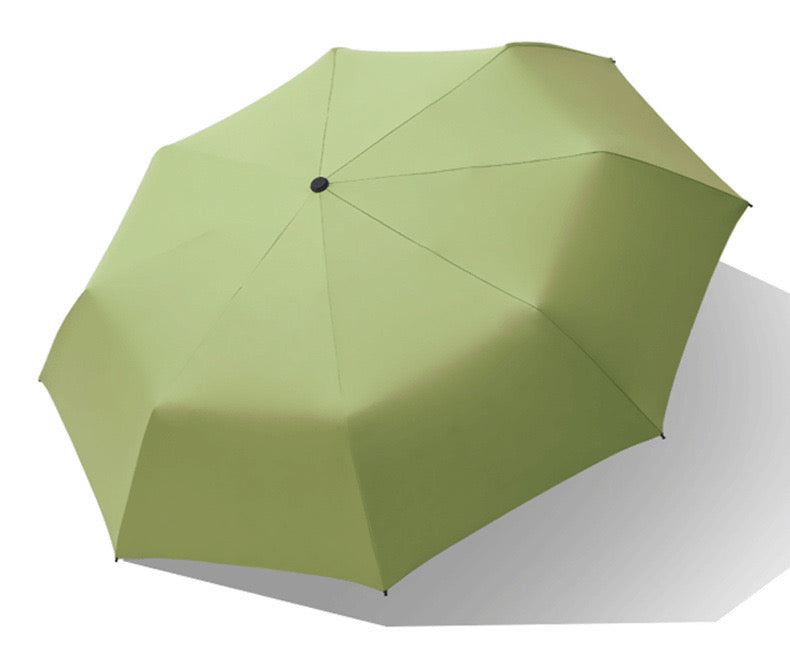 Minimalist Wooden Handle Folding Umbrella — 6 Colours