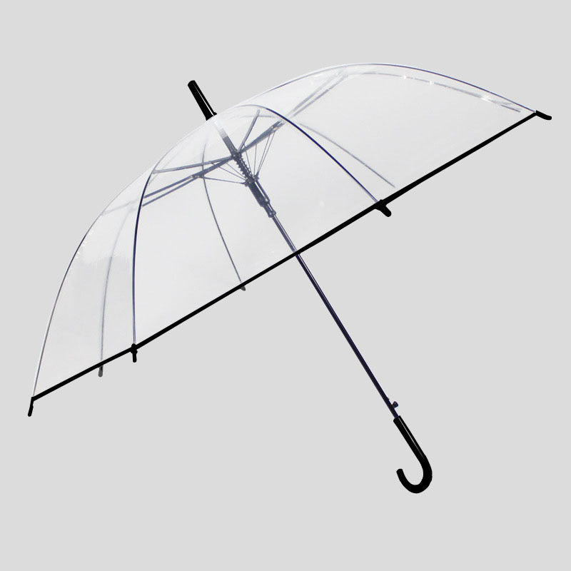 Clear Dome Umbrella ☔