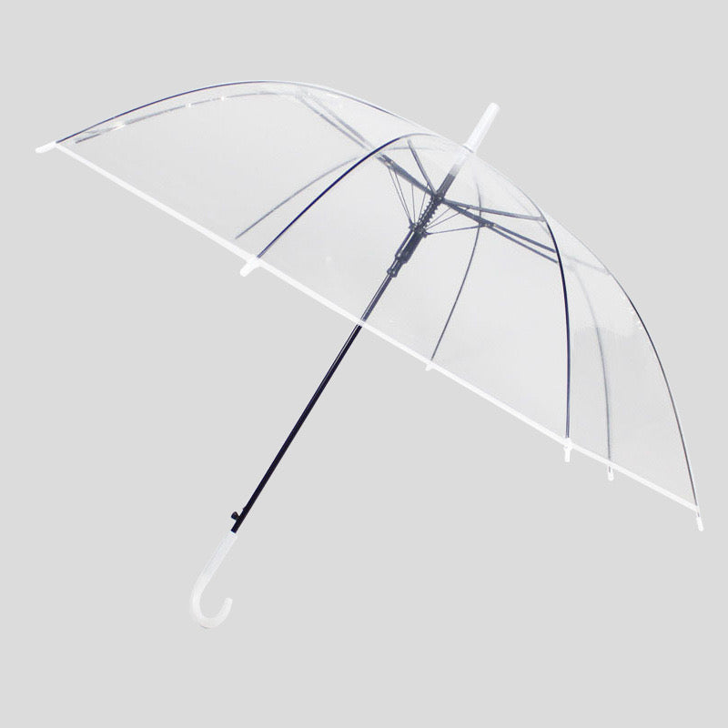 Clear Dome Umbrella ☔