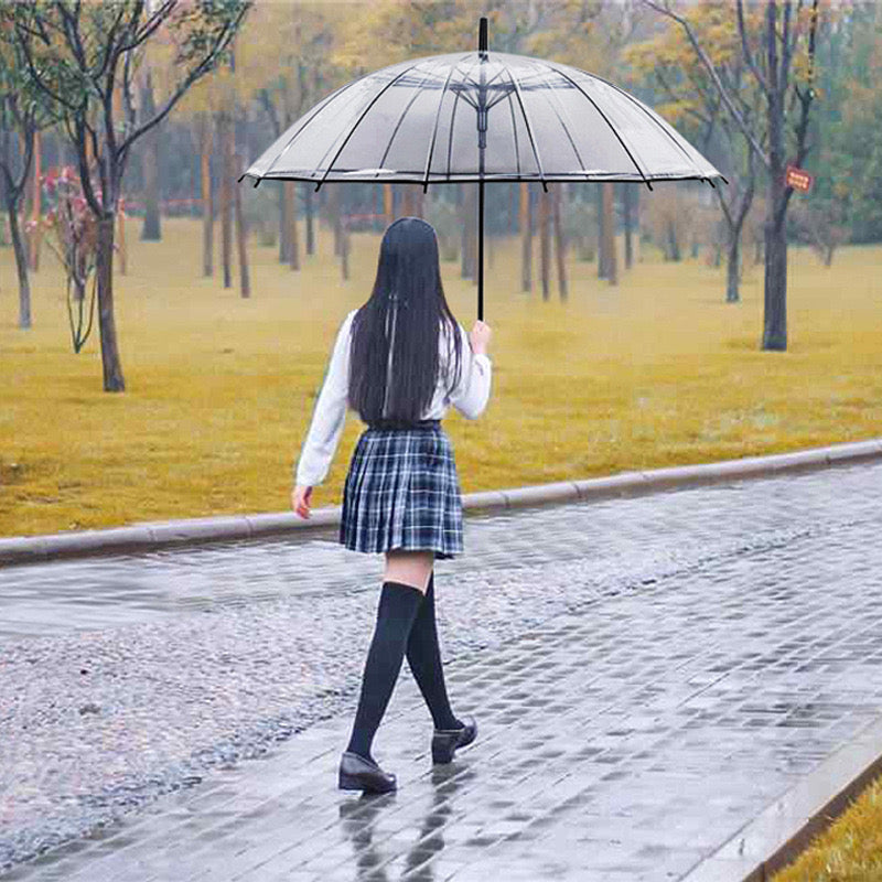 Clear Dome Umbrella ☔