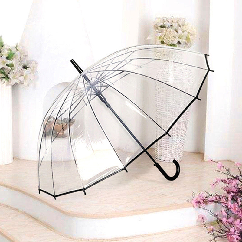 Clear Dome Umbrella ☔