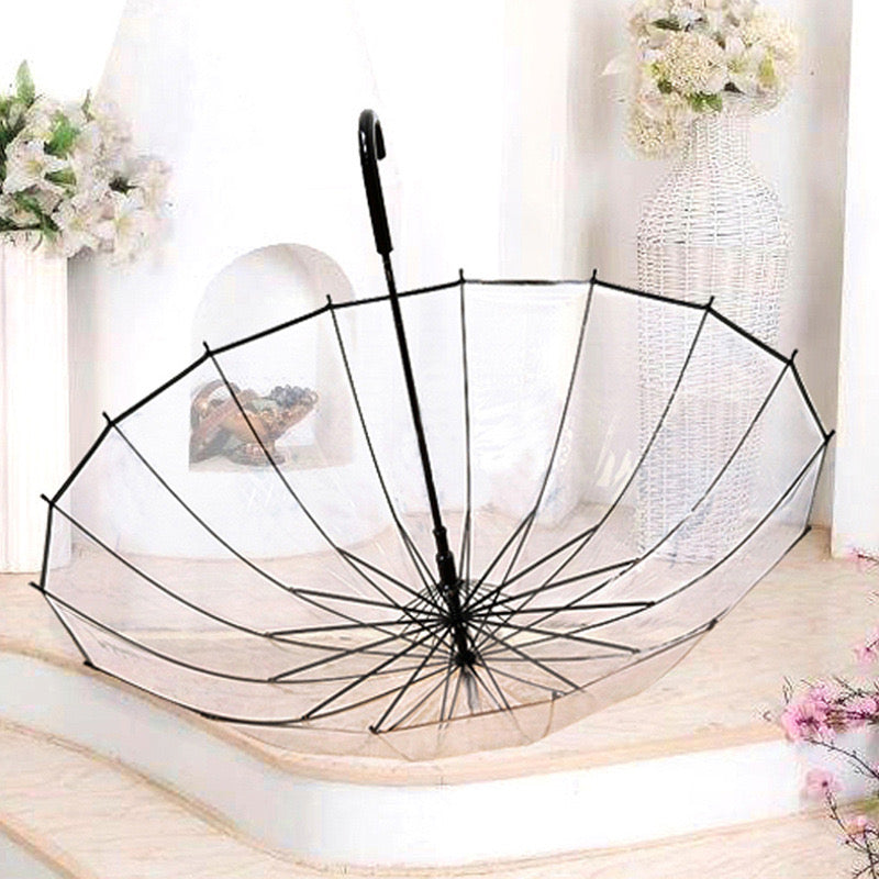 Clear Dome Umbrella ☔