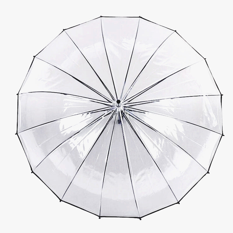 Clear Dome Umbrella ☔