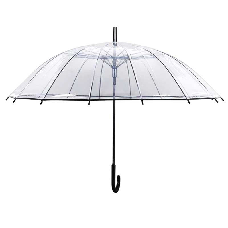 Clear Dome Umbrella ☔